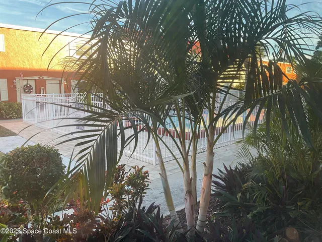 a view of a backyard of the house