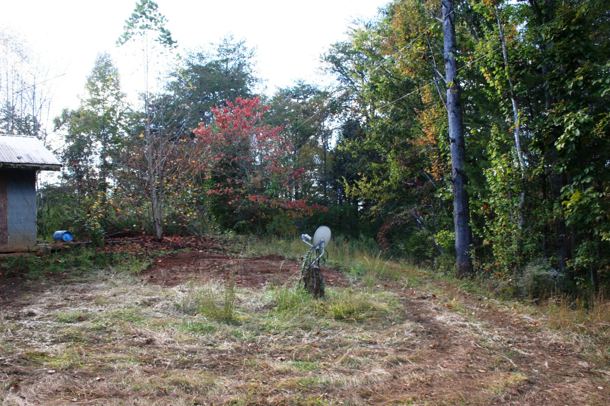 260 Homestead Road Madisonville, TN 37354 - Photo 8 of 11 Gallery Image 8