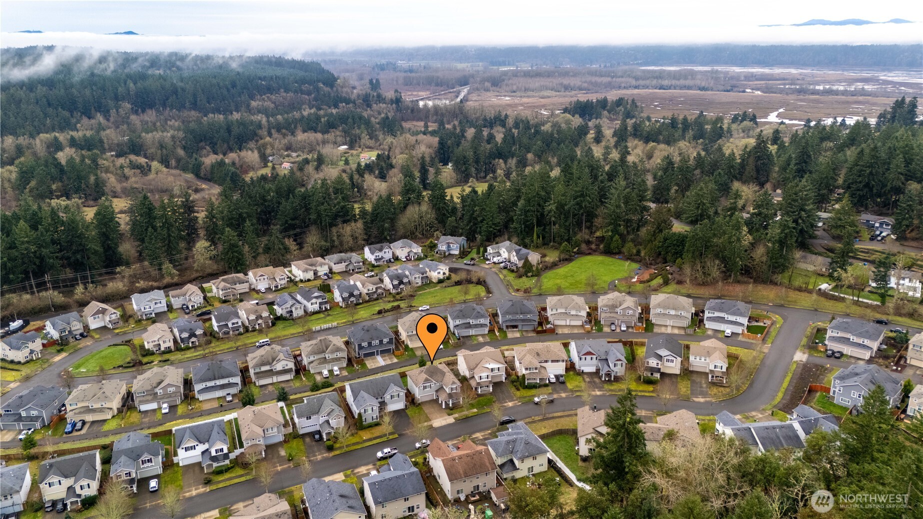 1179 Swan Loop DuPont, WA 98327 - Photo 40 of 40