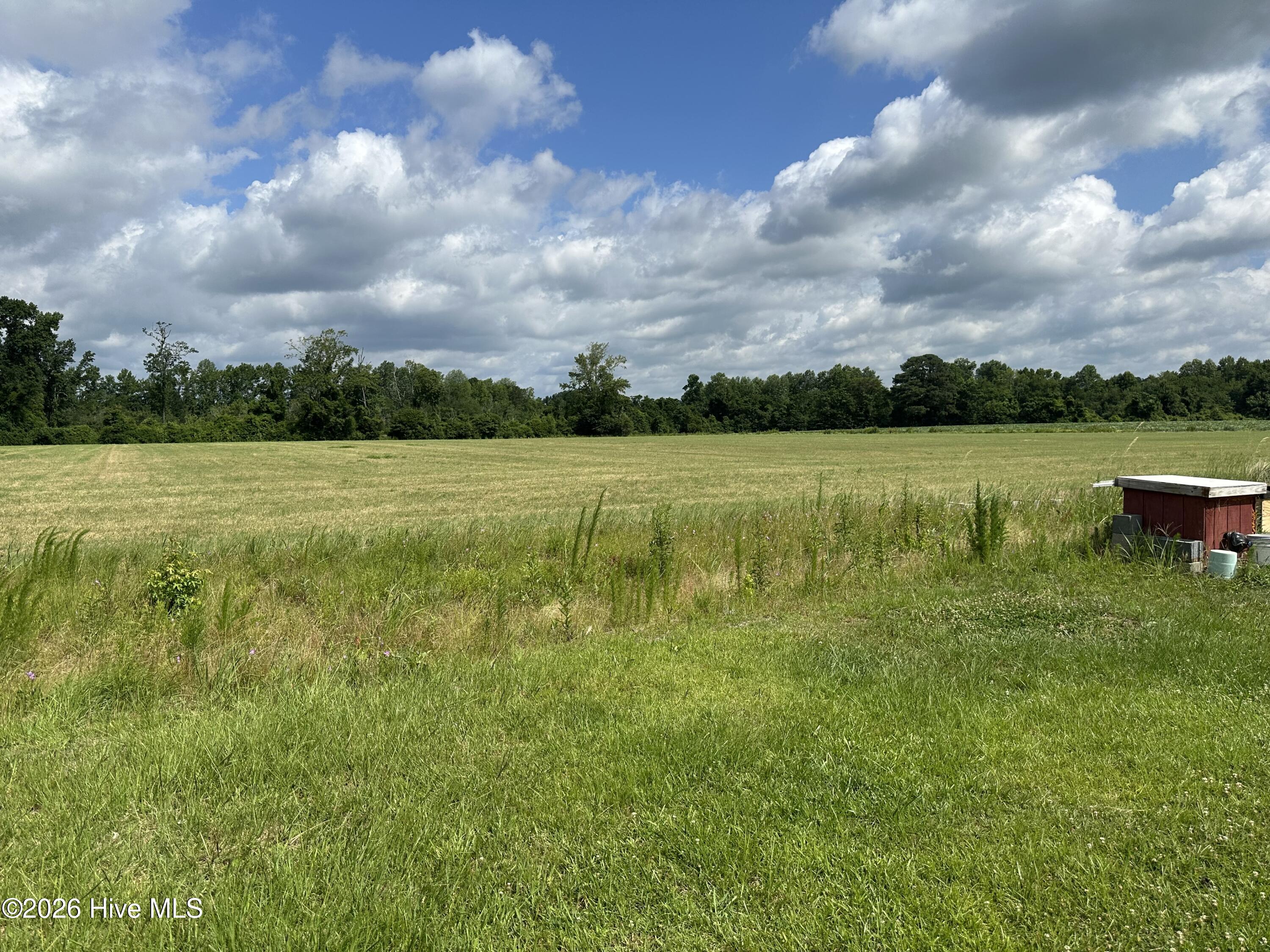 4750 Peacock Road Whiteville, NC 28472 - Photo 30 of 34