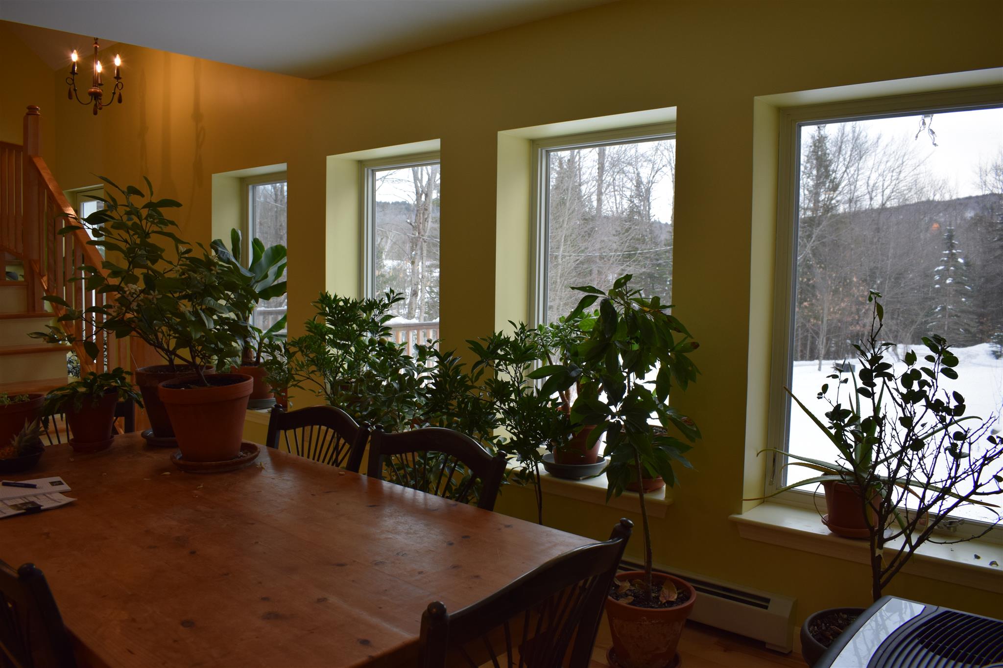 157 Littlefield Road Danbury, NH 03230 - Photo 10 of 20