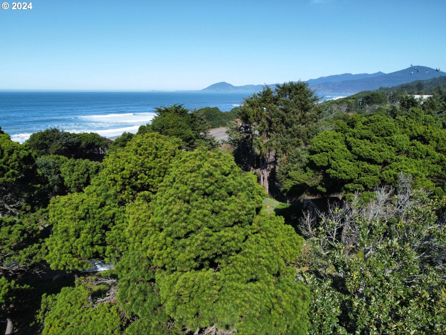 33327 Ophir Road Gold Beach, OR 97444 - Photo 30 of 32 a view of a lake with a mountain in the background