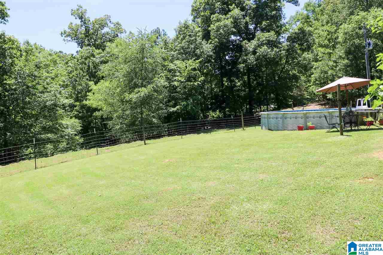 655 Mt Moriah Road Pell City, AL 35125 - Photo 45 of 50