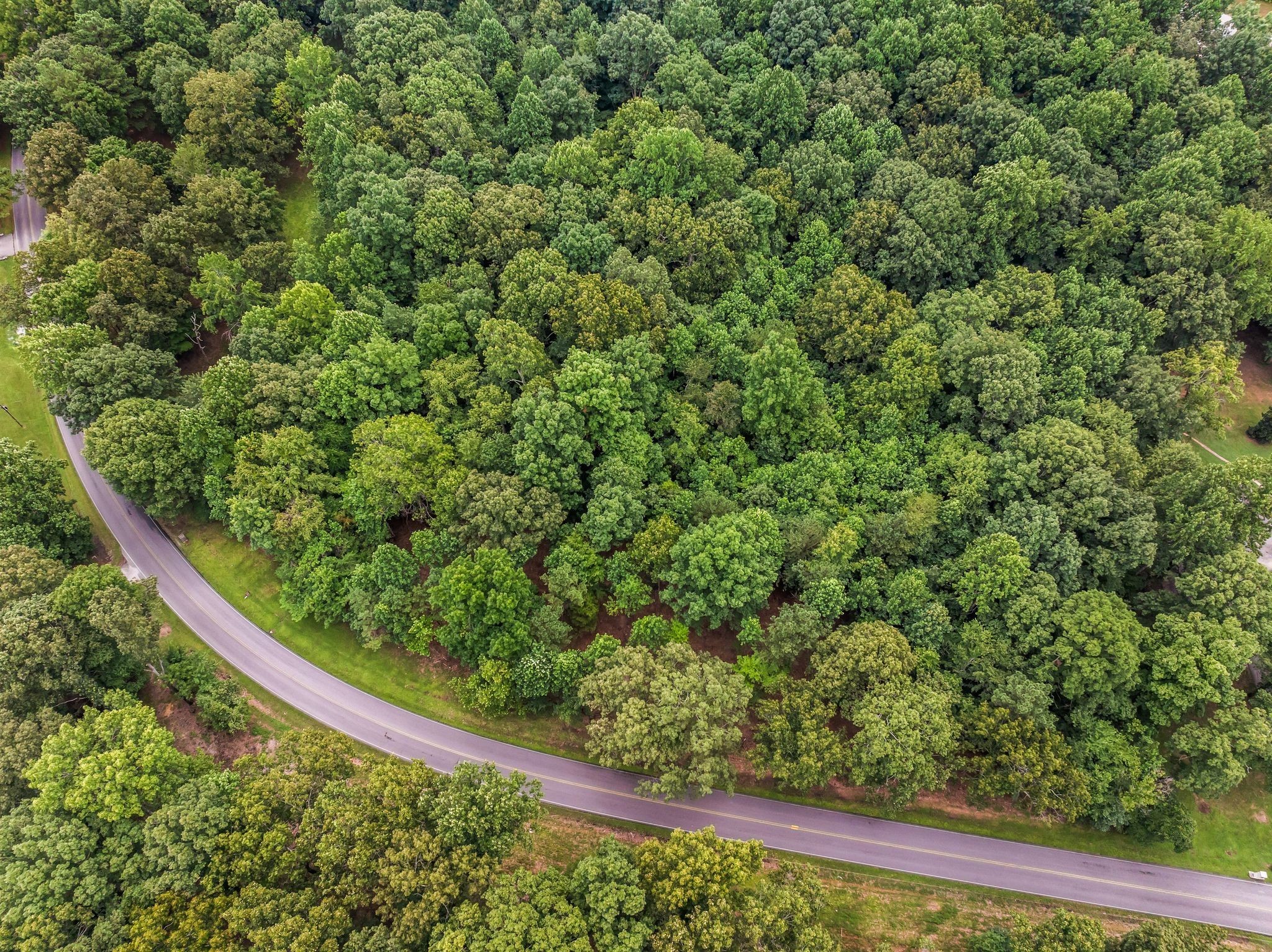 a view of a garden with an outdoor space