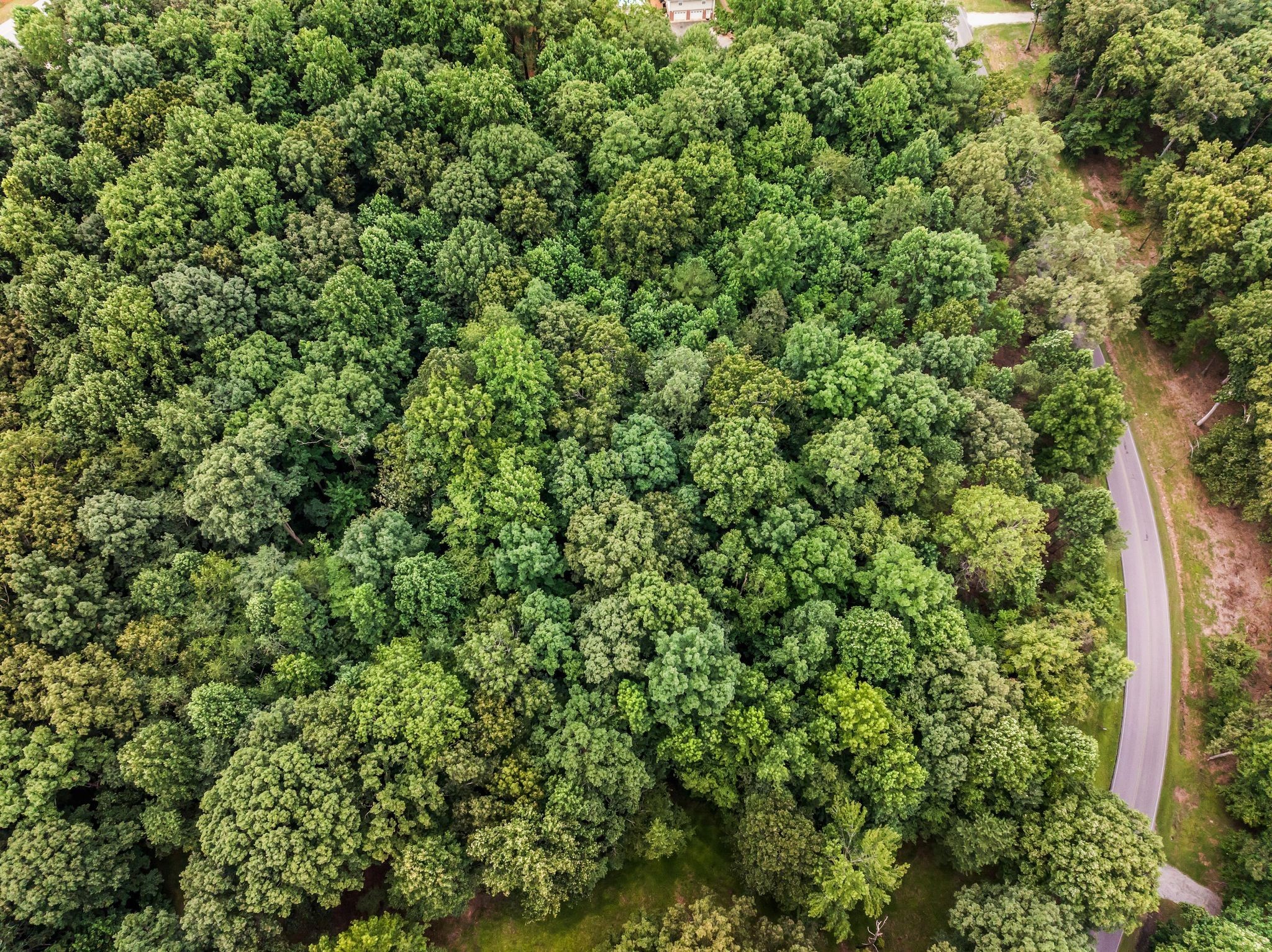 0 Iron Hill Road Burns, TN 37029 - Photo 11 of 13 with a small yard