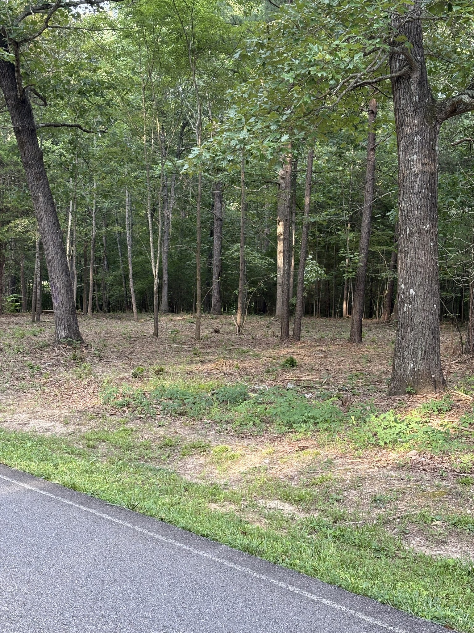 0 Iron Hill Road Burns, TN 37029 - Photo 2 of 13 a backyard of a house with lots of green space