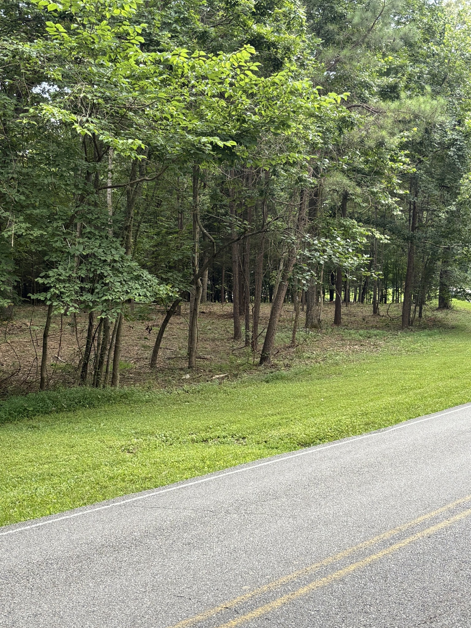 0 Iron Hill Road Burns, TN 37029 - Photo 5 of 13 a view of a park
