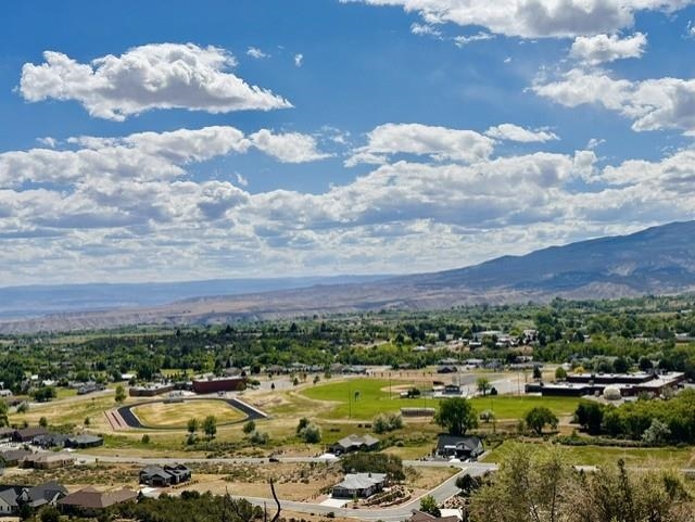 1010 Southwest 11th Avenue Cedaredge, CO 81413 - Photo 25 of 28