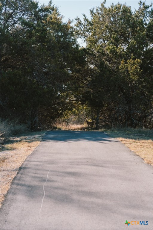 9889 Kolleru Trail Belton, TX 76513 - Photo 12 of 19 a view of backyard