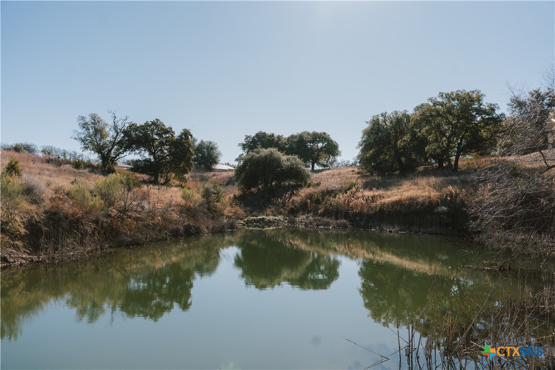 9889 Kolleru Trail Belton, TX 76513 - Photo 15 of 19 a view of a lake with houses