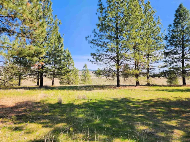 $365,000 | 39024 Petrie Lane East, Davenport, WA 99122