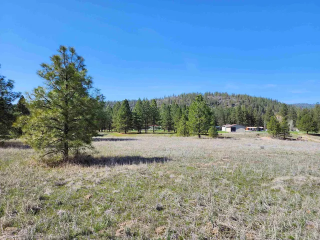 $365,000 | 39024 Petrie Lane East, Davenport, WA 99122