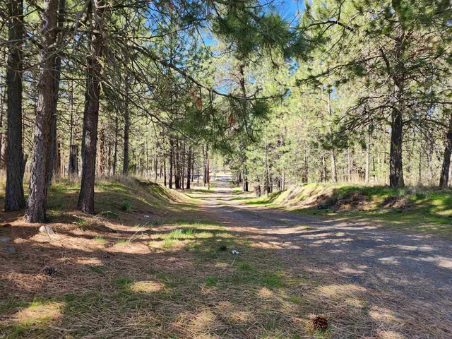 $365,000 | 39024 Petrie Lane East, Davenport, WA 99122