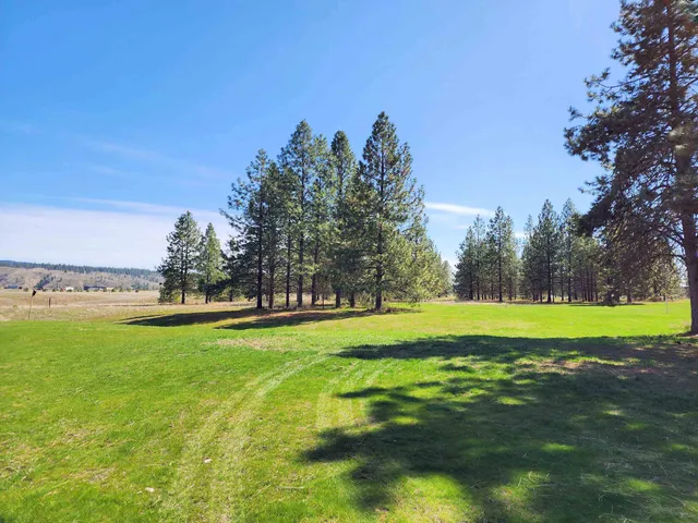 $365,000 | 39024 Petrie Lane East, Davenport, WA 99122