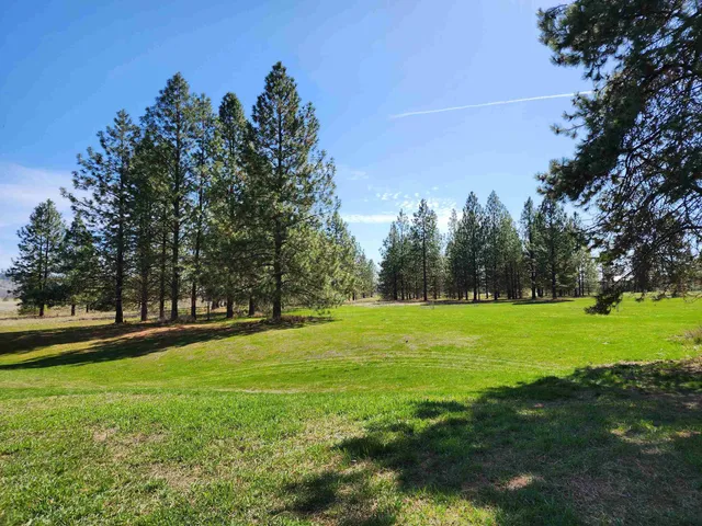 $365,000 | 39024 Petrie Lane East, Davenport, WA 99122