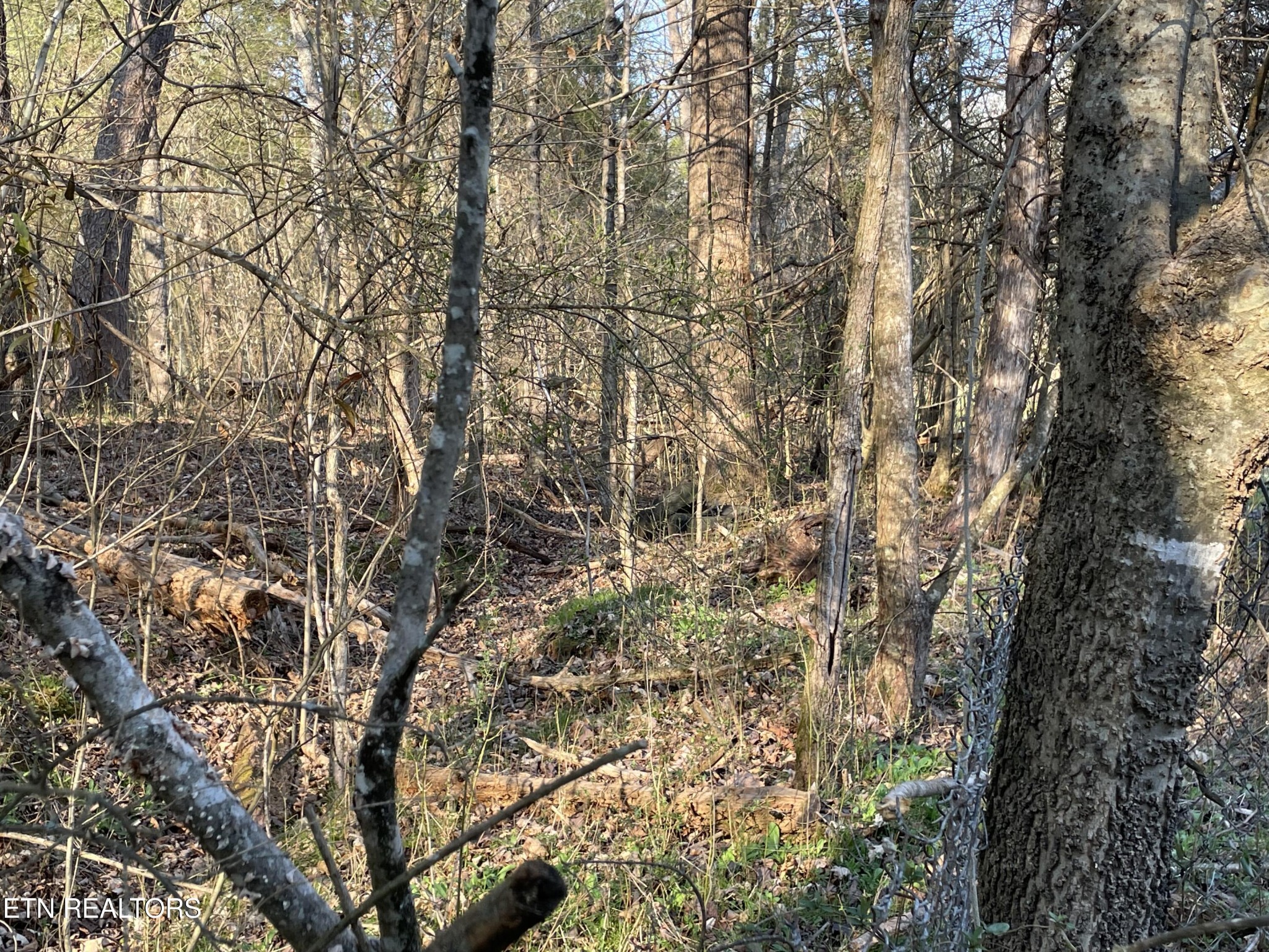 0 Crowder Road Madisonville, TN 37354 - Photo 8 of 8 Gallery Image 8