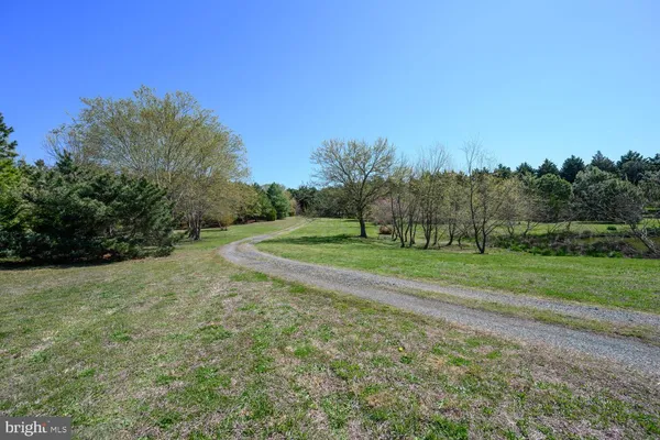 a view of a field with trees in the background
