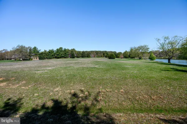 a view of a field with an ocean