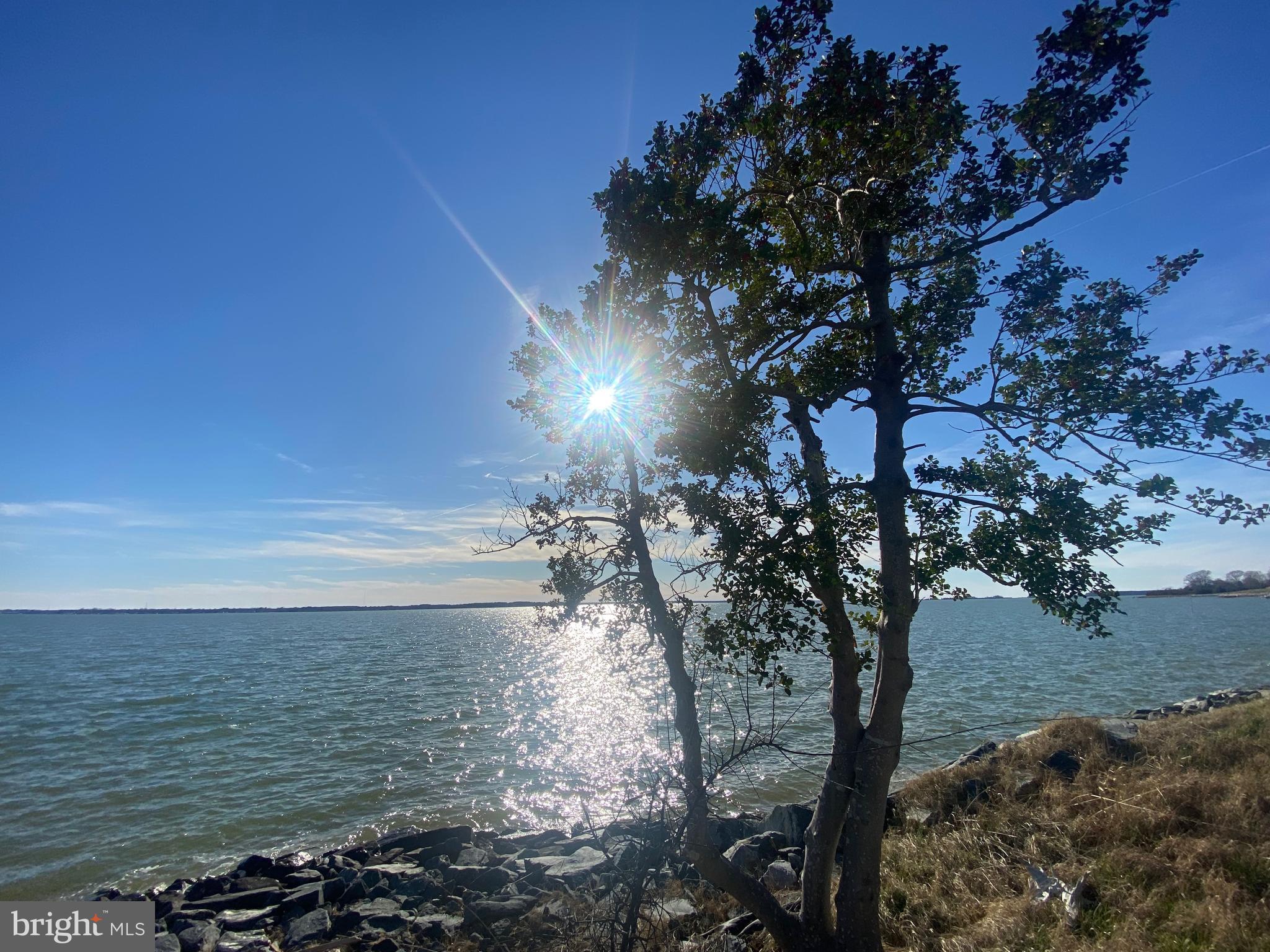 29569 Porpoise Creek Road Trappe, MD 21673 - Photo 15 of 25