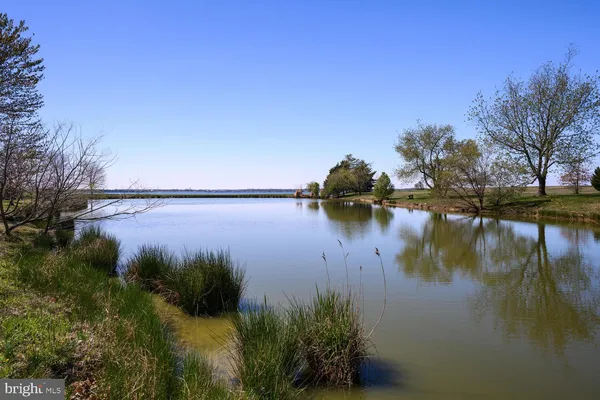 a view of lake with green space