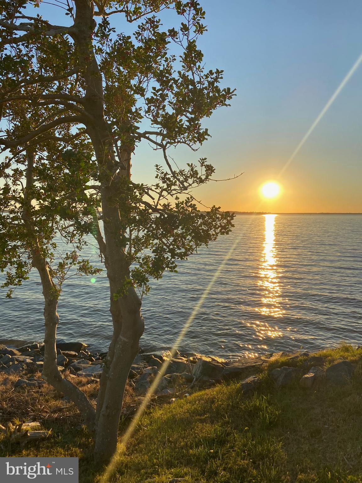 29569 Porpoise Creek Road Trappe, MD 21673 - Photo 16 of 25 a view of an ocean