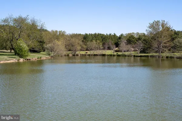 a view of a lake with houses in the back