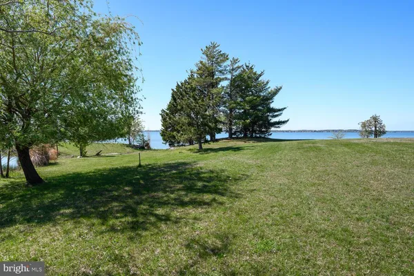 a view of a park with trees