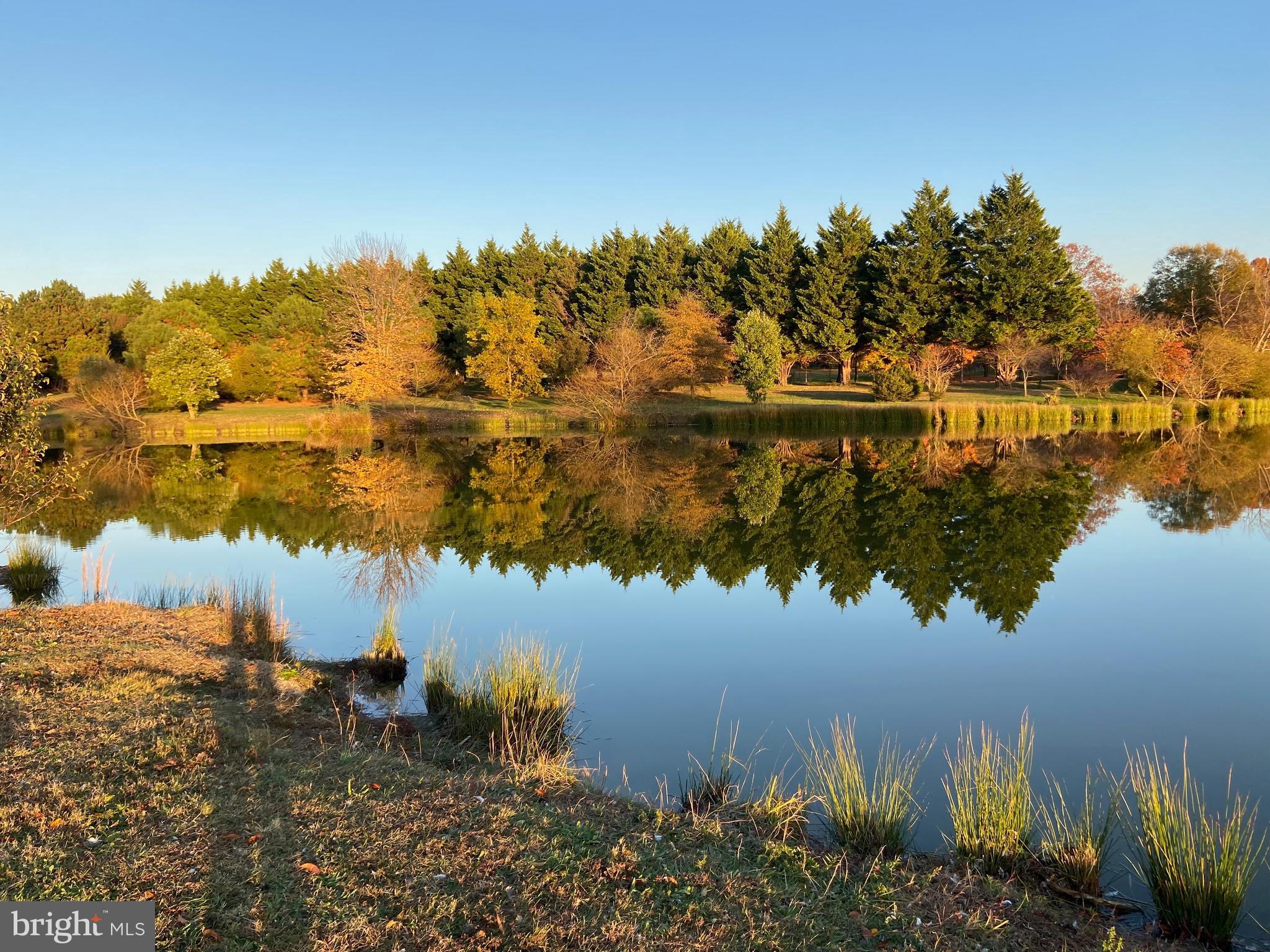 29569 Porpoise Creek Road Trappe, MD 21673 - Photo 20 of 25 a view of a lake