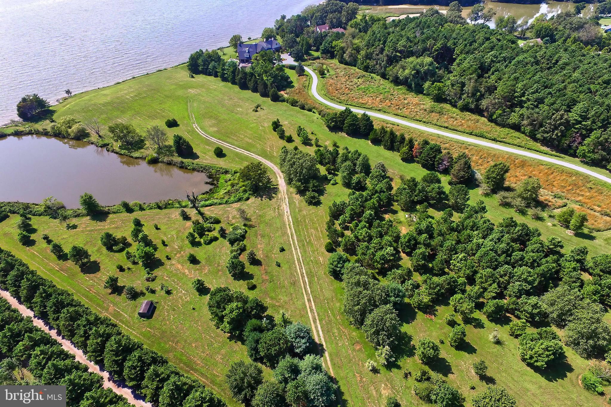 29569 Porpoise Creek Road Trappe, MD 21673 - Photo 2 of 25 a view of a garden with plants