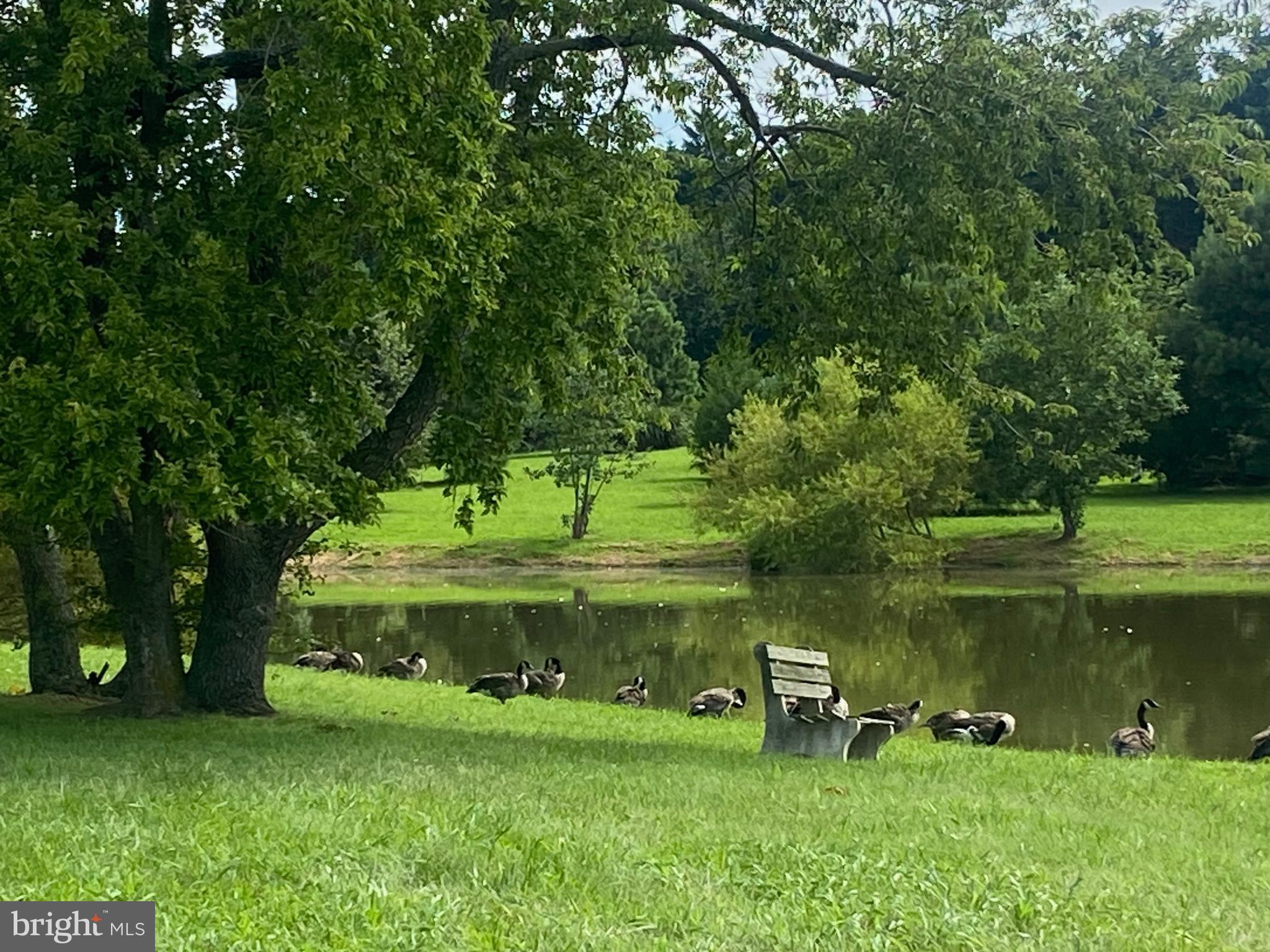29569 Porpoise Creek Road Trappe, MD 21673 - Photo 21 of 25 a view of a lake with a park
