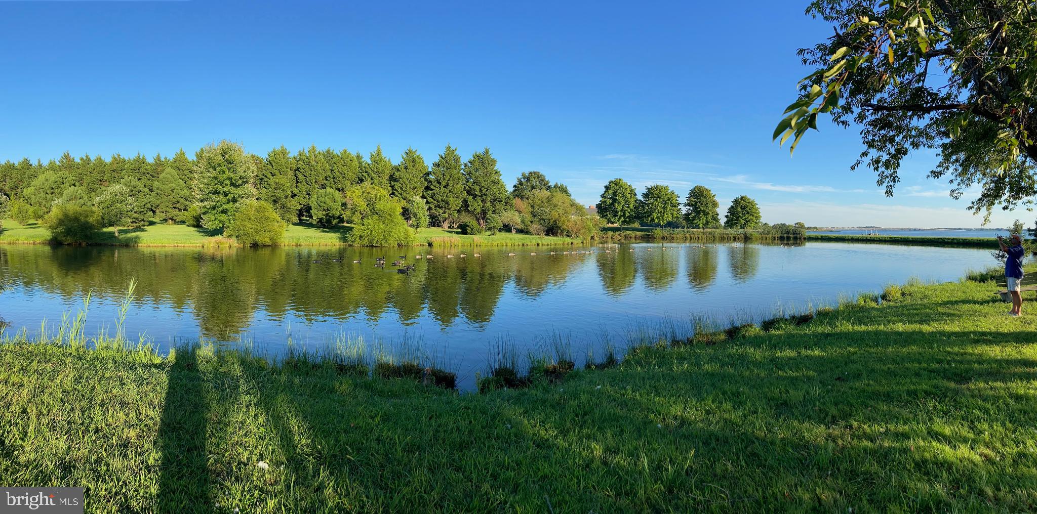 29569 Porpoise Creek Road Trappe, MD 21673 - Photo 22 of 25 a view of a lake with houses in the back