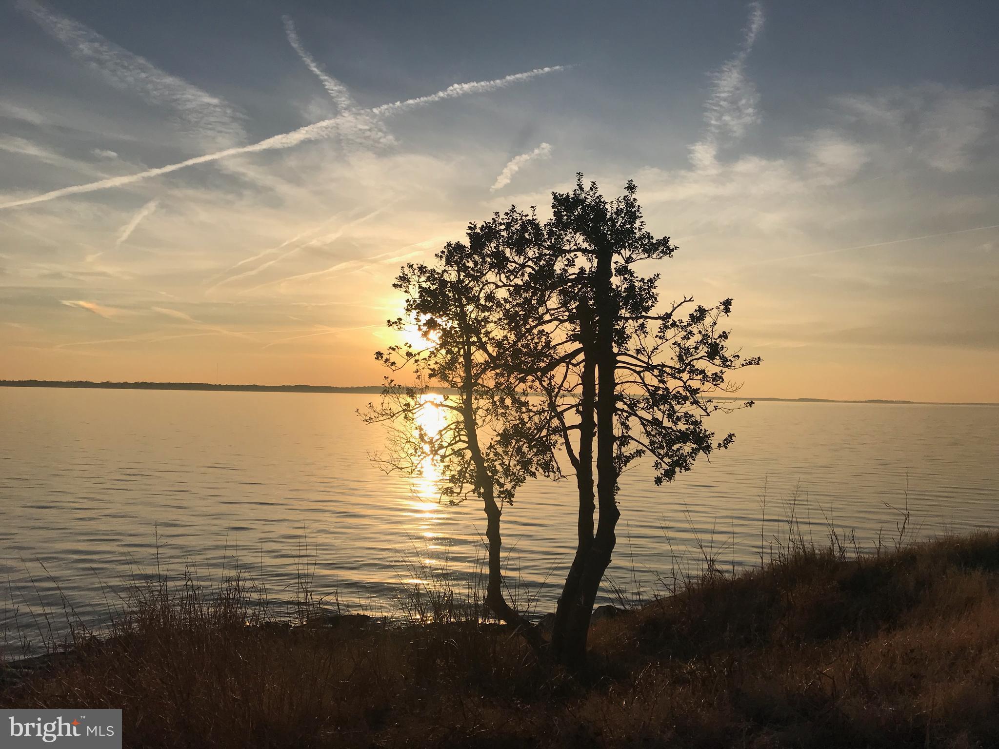 29569 Porpoise Creek Road Trappe, MD 21673 - Photo 23 of 25 a view of an ocean