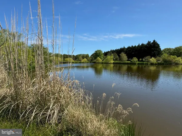 a view of a lake with houses in the back