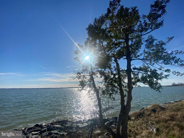 a view of a lake