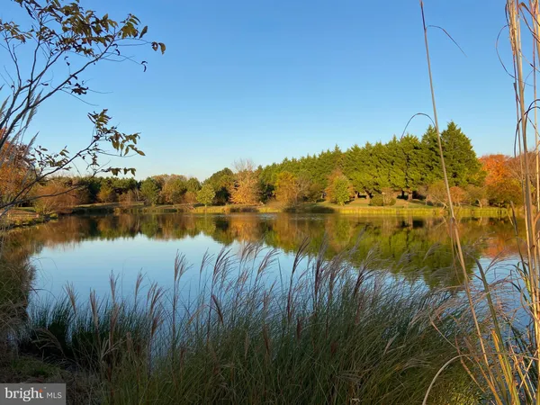 a view of a lake