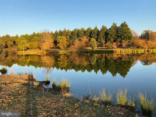 $1,495,000 | 29569 Porpoise Creek Road, Trappe, MD 21673
