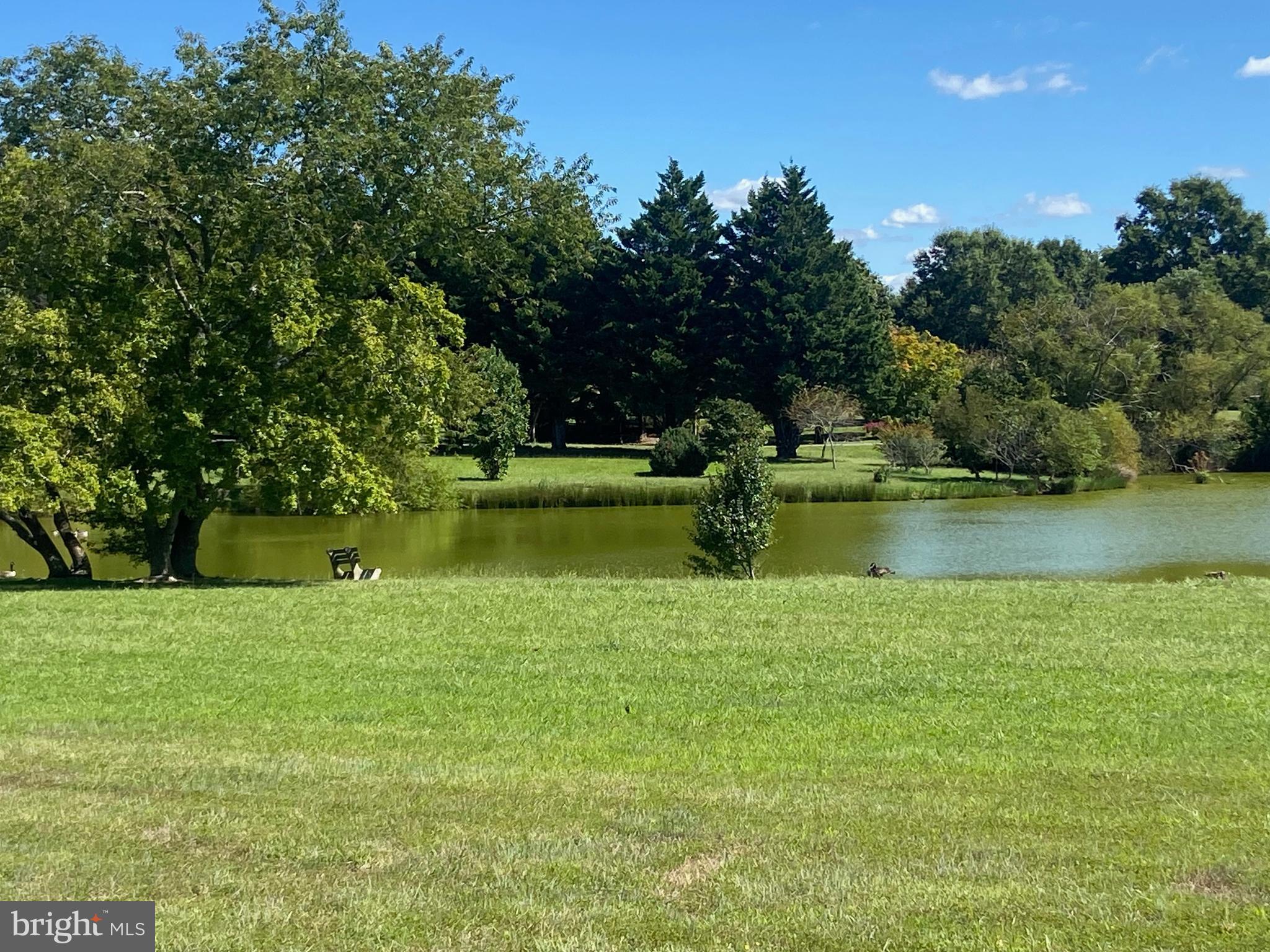 29569 Porpoise Creek Road Trappe, MD 21673 - Photo 6 of 25 a view of a lake with a yard