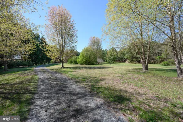 a view of outdoor space with trees