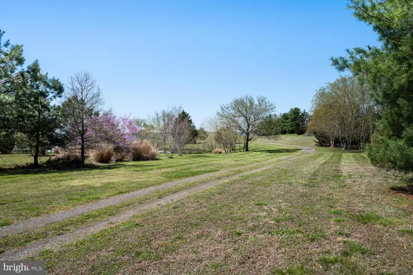 a view of a field with trees