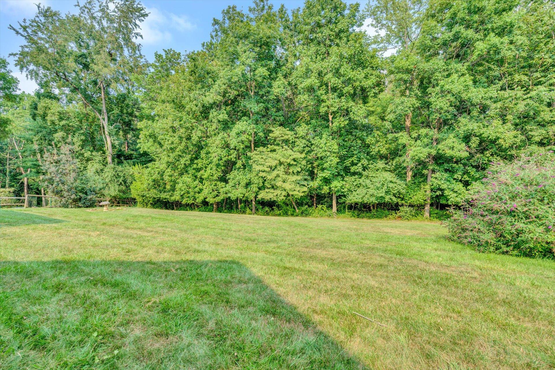 5157 Falcon Ridge Road Roanoke, VA 24018 - Photo 50 of 50 a view of a field with a tree