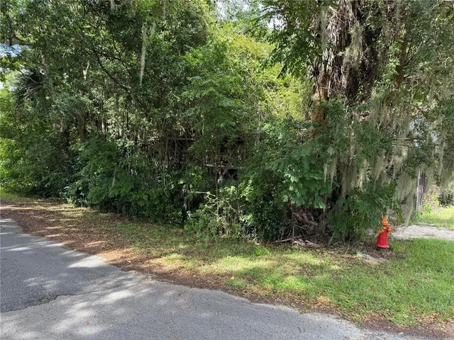 $45,000 | Tbd Avenue East, McIntosh, FL 32664