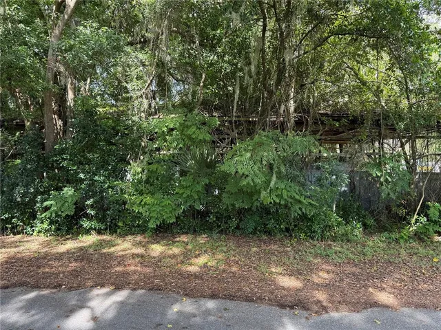 $45,000 | Tbd Avenue East, McIntosh, FL 32664