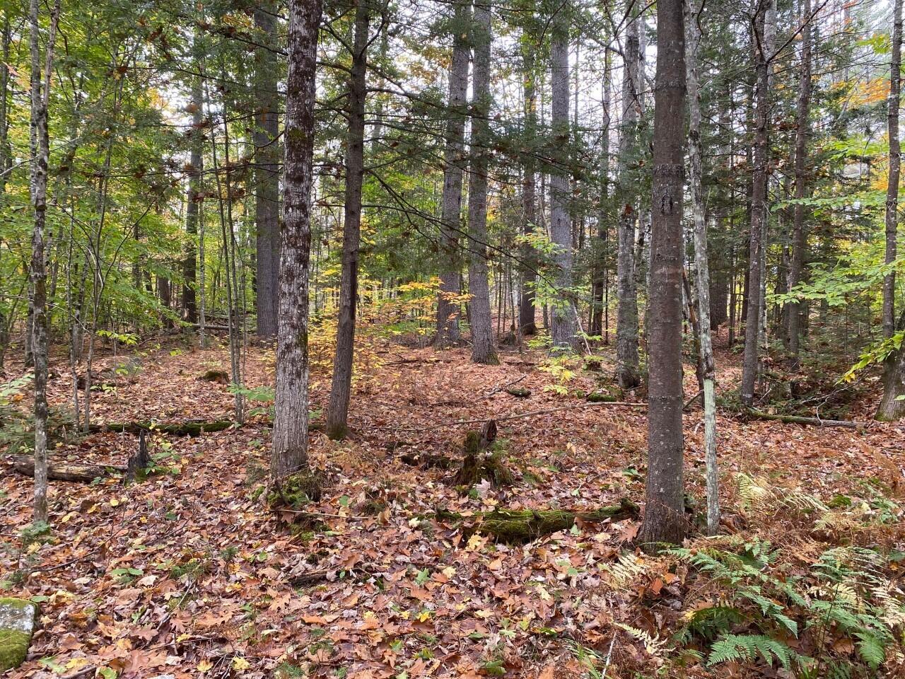 0 North Bridgton Road Bridgton, ME 04009 - Photo 1 of 8 Pic4