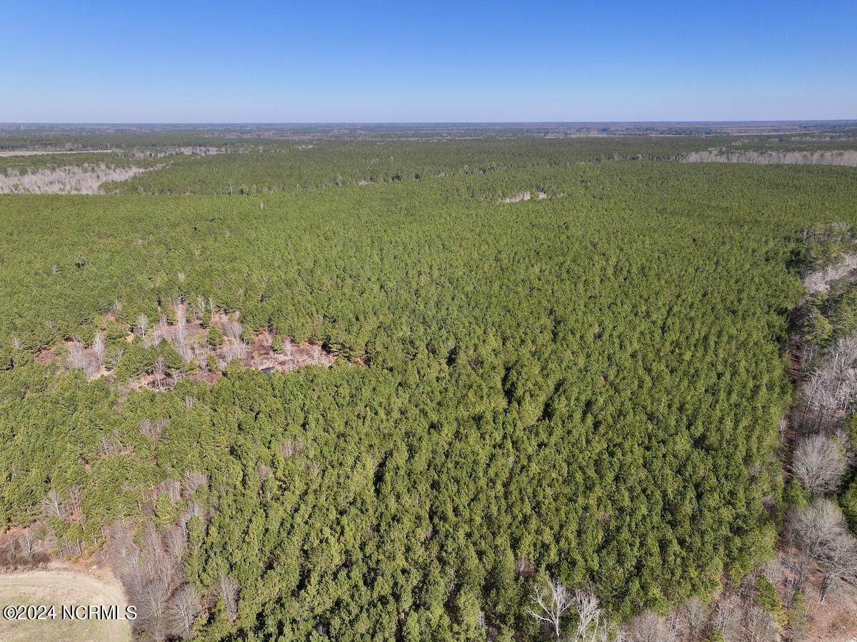 0 Rehoboth Church Road Jackson, NC 27845 - Photo 3 of 46 3
