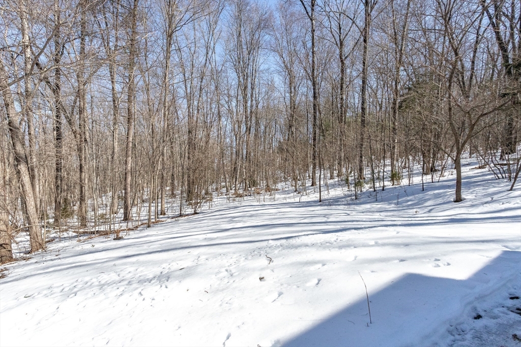 497 Riverside Drive Northampton, MA 01062 - Photo 39 of 41
