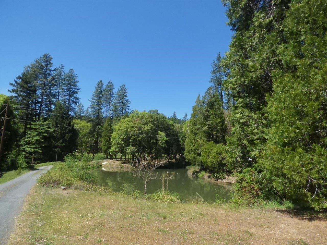 6520 Tunnel Loop Road Grants Pass, OR 97526 - Photo 55 of 69 Private road to pasture and garden areas