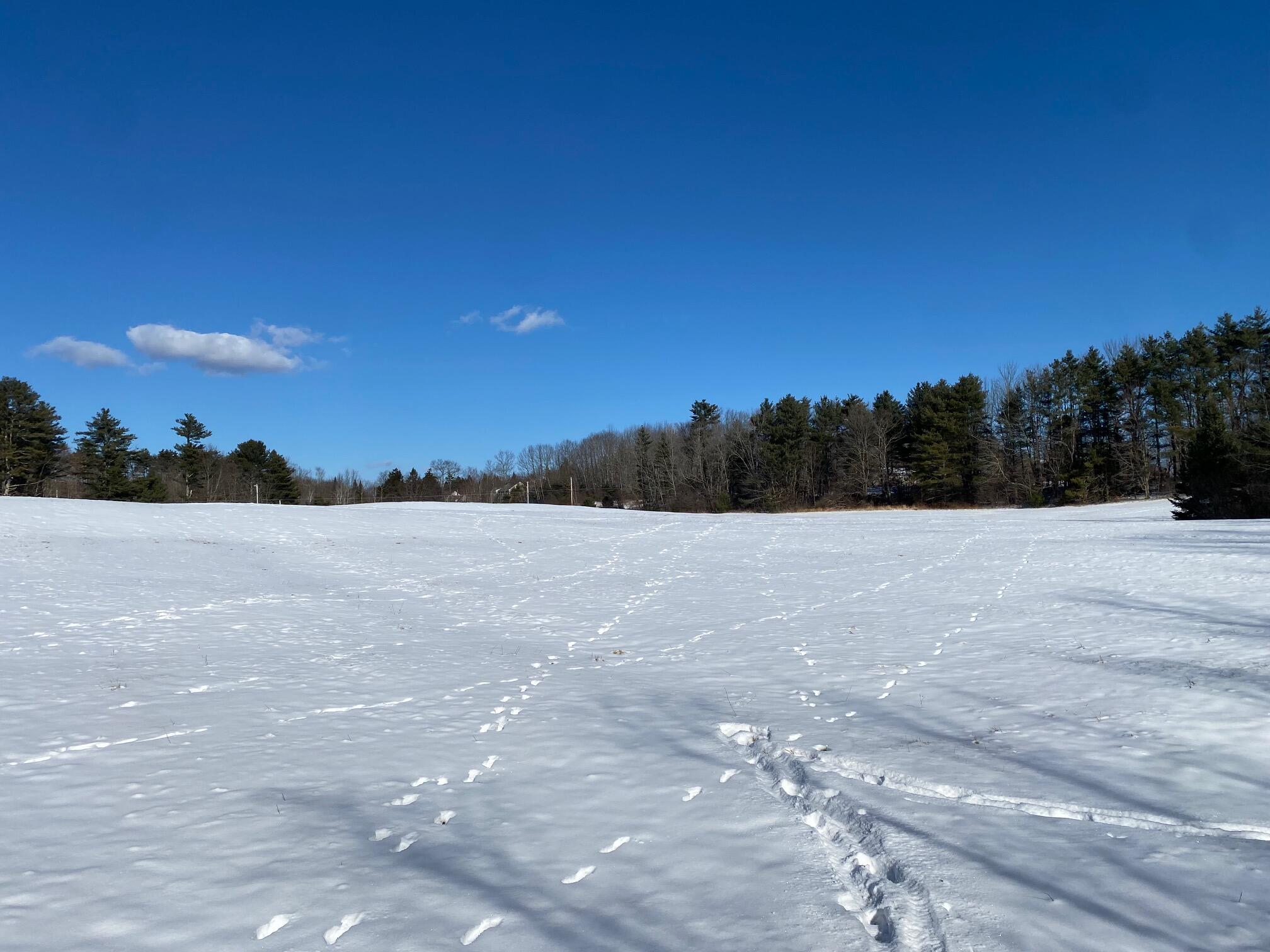0 Wood Road Gorham, ME 04038 - Photo 7 of 11 IMG_0784