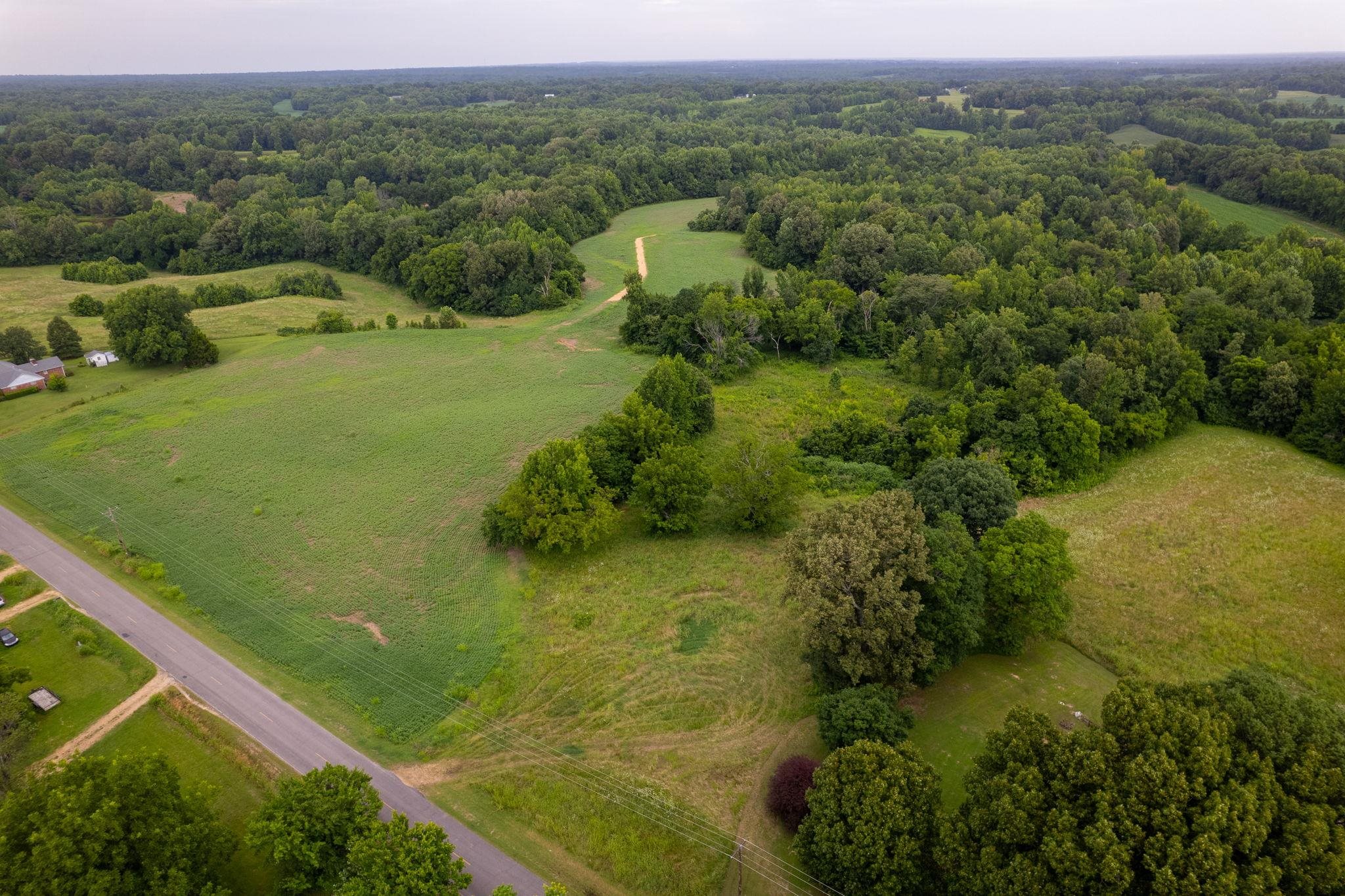 2990 Curve Woodville Road Ripley, TN 38063 - Photo 10 of 18