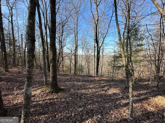 a view of backyard with green space