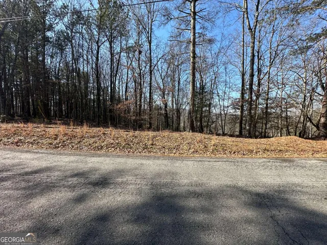 a view of road covered with snow